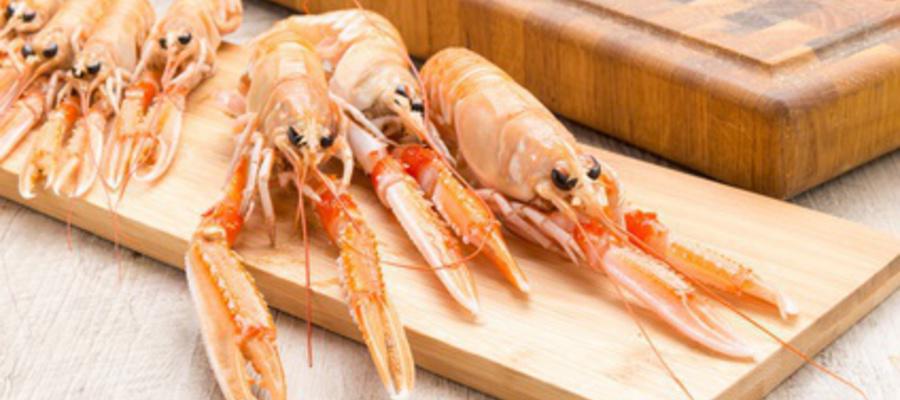 langoustines (crustacés)