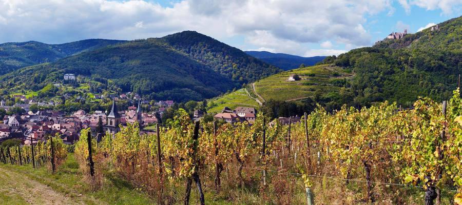 Pinot noir cuvée particulière  - Gustave LORENTZ  Bergheim (2012)