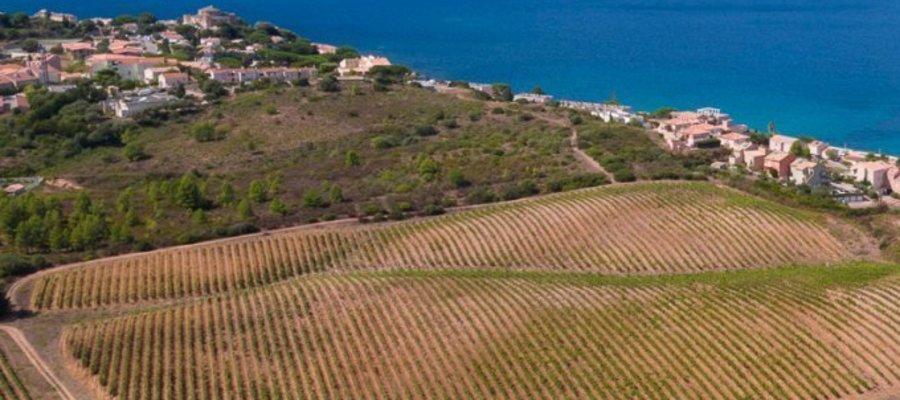 Patrimonio - corse